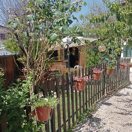 Appartamento Malcontenta Mira Extérieur photo